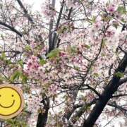 ヒメ日記 2026/04/11 10:17 投稿 まひる 奥鉄オクテツ東京店（デリヘル市場）