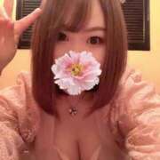 ヒメ日記 2024/12/19 09:10 投稿 もも チューリップ姫路店