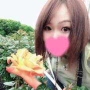 ヒメ日記 2025/03/16 06:50 投稿 もも チューリップ姫路店