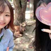 ヒメ日記 2025/04/23 15:52 投稿 もも チューリップ姫路店