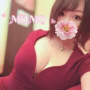 ヒメ日記 2025/05/16 09:00 投稿 もも チューリップ姫路店