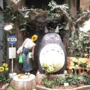 ヒメ日記 2025/06/24 11:00 投稿 もも チューリップ姫路店