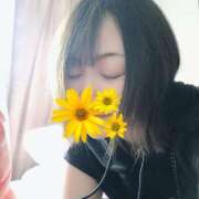 ヒメ日記 2025/07/04 11:20 投稿 もも チューリップ姫路店