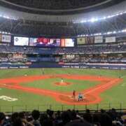 ヒメ日記 2025/08/02 00:20 投稿 もも チューリップ姫路店