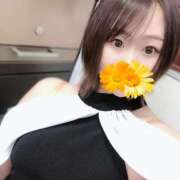 ヒメ日記 2025/10/25 06:10 投稿 もも チューリップ姫路店