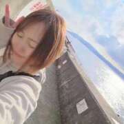 ヒメ日記 2025/11/25 14:50 投稿 もも チューリップ姫路店