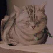 ヒメ日記 2025/06/08 09:57 投稿 れの 熟女家 梅田店