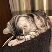 ヒメ日記 2025/06/19 23:37 投稿 れの 熟女家 梅田店