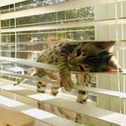 ヒメ日記 2025/07/03 18:07 投稿 れの 熟女家 梅田店