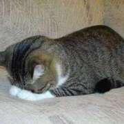 ヒメ日記 2025/07/20 22:07 投稿 れの 熟女家 梅田店