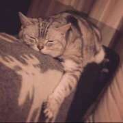 ヒメ日記 2025/07/31 10:07 投稿 れの 熟女家 梅田店