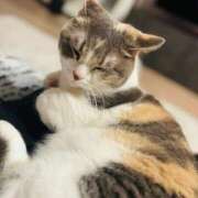 ヒメ日記 2025/08/09 09:17 投稿 れの 熟女家 梅田店