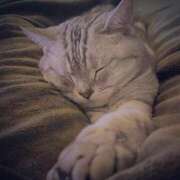 ヒメ日記 2025/09/05 17:07 投稿 れの 熟女家 梅田店