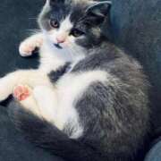 ヒメ日記 2025/09/11 10:30 投稿 れの 熟女家 梅田店