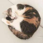 ヒメ日記 2025/11/27 09:17 投稿 れの 熟女家 梅田店