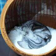 ヒメ日記 2025/12/21 11:57 投稿 れの 熟女家 梅田店