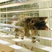 ヒメ日記 2026/01/20 10:17 投稿 れの 熟女家 梅田店