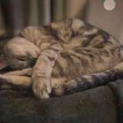 ヒメ日記 2026/02/08 10:49 投稿 れの 熟女家 梅田店