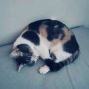 れの すみません 熟女家 梅田店