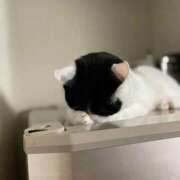 ヒメ日記 2026/03/15 11:03 投稿 れの 熟女家 梅田店