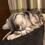 ヒメ日記 2026/04/08 10:17 投稿 れの 熟女家 梅田店