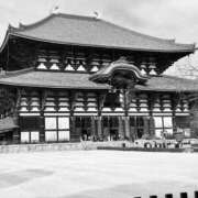 ヒメ日記 2025/02/02 08:54 投稿 明智 よう癒し大地の妖精 ファーストクラス ルビー