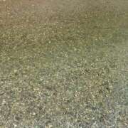 ヒメ日記 2025/02/28 08:09 投稿 明智 よう癒し大地の妖精 ファーストクラス ルビー