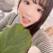 ヒメ日記 2025/03/05 13:09 投稿 明智 よう癒し大地の妖精 ファーストクラス ルビー