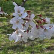 ヒメ日記 2025/04/06 21:13 投稿 明智 よう癒し大地の妖精 ファーストクラス ルビー