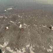 ヒメ日記 2025/05/15 08:33 投稿 明智 よう癒し大地の妖精 ファーストクラス ルビー