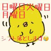 ヒメ日記 2025/07/20 08:29 投稿 明智 よう癒し大地の妖精 ファーストクラス ルビー