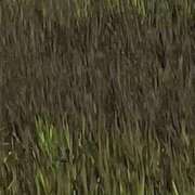 ヒメ日記 2025/07/24 06:33 投稿 明智 よう癒し大地の妖精 ファーストクラス ルビー