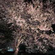 ヒメ日記 2026/04/07 21:53 投稿 明智 よう癒し大地の妖精 ファーストクラス ルビー