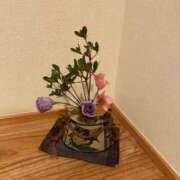 明智 よう癒し大地の妖精 月曜日おやすみします ファーストクラス ルビー