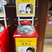 ヒメ日記 2025/02/17 22:18 投稿 茎 わかめ　SSSロり妹系悶絶系 ファーストクラス ルビー