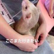 ヒメ日記 2025/05/03 20:23 投稿 茎 わかめ　SSSロり妹系悶絶系 ファーストクラス ルビー