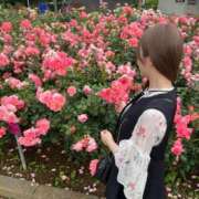 ヒメ日記 2025/05/19 00:03 投稿 茎 わかめ　SSSロり妹系悶絶系 ファーストクラス ルビー