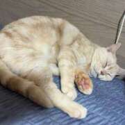 ヒメ日記 2025/05/25 00:03 投稿 茎 わかめ　SSSロり妹系悶絶系 ファーストクラス ルビー