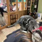 ヒメ日記 2025/05/31 23:10 投稿 茎 わかめ　SSSロり妹系悶絶系 ファーストクラス ルビー