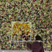 ヒメ日記 2025/06/03 23:26 投稿 茎 わかめ　SSSロり妹系悶絶系 ファーストクラス ルビー