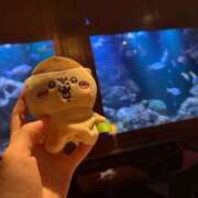 ヒメ日記 2025/06/03 23:43 投稿 茎 わかめ　SSSロり妹系悶絶系 ファーストクラス ルビー