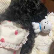 ヒメ日記 2025/06/08 23:53 投稿 茎 わかめ　SSSロり妹系悶絶系 ファーストクラス ルビー