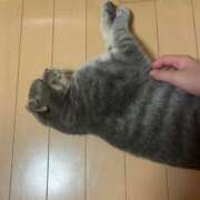 ヒメ日記 2025/06/17 00:16 投稿 茎 わかめ　SSSロり妹系悶絶系 ファーストクラス ルビー