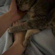 ヒメ日記 2025/07/03 22:54 投稿 茎 わかめ　SSSロり妹系悶絶系 ファーストクラス ルビー