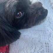 ヒメ日記 2025/07/09 23:23 投稿 茎 わかめ　SSSロり妹系悶絶系 ファーストクラス ルビー