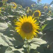 ヒメ日記 2025/07/24 21:23 投稿 茎 わかめ　SSSロり妹系悶絶系 ファーストクラス ルビー