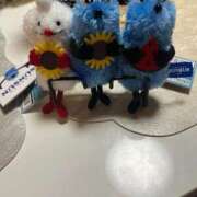 ヒメ日記 2025/07/25 23:43 投稿 茎 わかめ　SSSロり妹系悶絶系 ファーストクラス ルビー