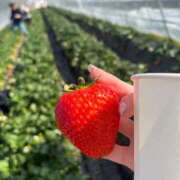 ヒメ日記 2025/07/29 00:12 投稿 茎 わかめ　SSSロり妹系悶絶系 ファーストクラス ルビー