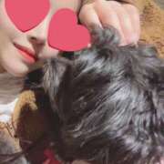 ヒメ日記 2025/08/26 00:15 投稿 茎 わかめ　SSSロり妹系悶絶系 ファーストクラス ルビー