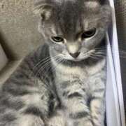 ヒメ日記 2025/08/31 22:03 投稿 茎 わかめ　SSSロり妹系悶絶系 ファーストクラス ルビー